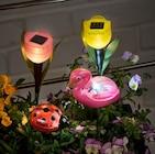 Solarstecker TULPE oder Solarstecker mit Tierfigur im Penny Prospekt Solarstecker TULPE oder Solarstecker mit Tierfigur von im aktuellen Penny Prospekt für 1,49 €