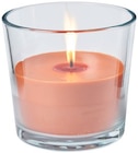 Aktuelles Maxi Outdoor Kerze im Glas Angebot bei REWE in Regensburg ab 7,00 €