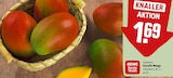 Essreife Mango Angebote von REWE Beste Wahl bei REWE Flensburg für 1,69 €