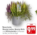 EDEKA Überlingen - Besenheide Beauty Ladies Angebot im Prospekt Besenheide Beauty Ladies bei EDEKA im Überlingen Prospekt für 9,99 €