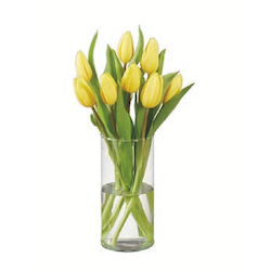 Tulpen
