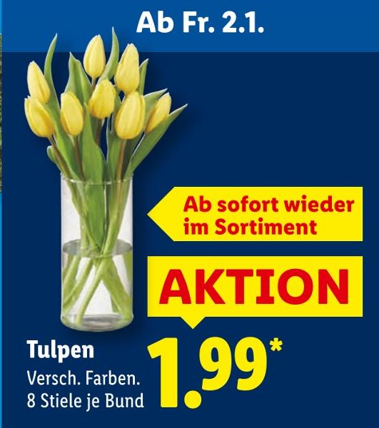 Tulpen