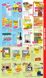 Jawoll Solarleuchten im Prospekt 