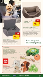 Auto im Fressnapf Prospekt in Seevetal Aktueller Fressnapf Prospekt mit Auto, "Festliche Angebote", Seite 21