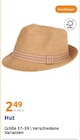 Hut im Angebot bei Action in Ansbach Hut Angebote bei Action Ansbach für 2,49 €