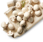 Poln./ kroat. Kulturchampignons, weiß XXL Angebote bei Kaufland Recklinghausen für 2,49 €