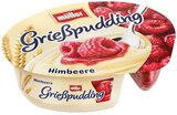 Aktuelles Grießpudding Himbeere Angebot bei REWE in Kiel ab 0,49 €