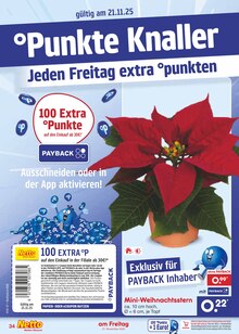 Puppen Angebot im Netto Marken-Discount Prospekt, gültig von 17.11.2025 bis 22.11.2025 Puppen Angebot im aktuellen Netto Marken-Discount Prospekt auf Seite 42