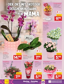 Blumen im Netto Marken-Discount Prospekt "Aktuelle Angebote" mit 69 Seiten (Jena)