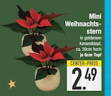Mini Weihnachtsstern von  im aktuellen EDEKA Prospekt für 2,49 €
