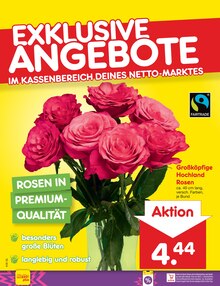 Fertiggerichte im Netto Marken-Discount Prospekt "Aktuelle Angebote" mit 72 Seiten (Nürnberg)