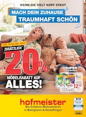 Ariel im hofmeister Prospekt in Pforzheim Aktueller hofmeister Prospekt mit Ariel, "MACH DEIN ZUHAUSE TRAUMHAFT SCHÖN", Seite 1