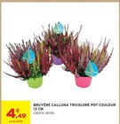 Promo Bruyère Calluna tricolore pot couleur 13 CM à 4,49 € dans le catalogue Intermarché Express à Vienne