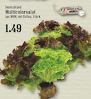 EDEKA - Multicolorsalat Angebot im Prospekt Multicolorsalat bei EDEKA im Prospekt "" für 1,49 €