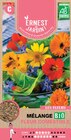 ASSORTIMENT DE SEMENCE AU CHOIX - ERNEST AU JARDIN à 1,99 € dans le catalogue Intermarché Hyper