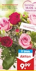 Herzensangelegenheit Angebote bei Netto Marken-Discount Celle für 9,99 €