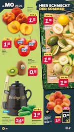 Gemüse Angebot im aktuellen Netto mit dem Scottie Prospekt auf Seite 2