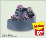 famila Nordwest Syke Prospekt mit  im Angebot für 9,99 €