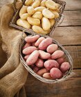 Pommes de terre de consommation à chair ferme nouvelle récolte - INTERMARCHÉ TERROIRS - Intermarché Hyper à Massy Pommes de terre de consommation à chair ferme nouvelle récolte - INTERMARCHÉ TERROIRS en promo chez Intermarché Hyper Massy à 2,19 €