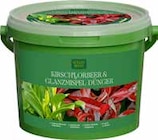Kirschlorbeer- und Glanzmispel-Dünger für 17,99 € bei Pflanzen Kölle im Angebot Kirschlorbeer- und Glanzmispel-Dünger im aktuellen Pflanzen Kölle Prospekt
