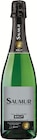 AOP Saumur Brut - EXPERT CLUB - Intermarché Express à Fontenay-Aux-Roses AOP Saumur Brut - EXPERT CLUB en promo chez Intermarché Express Fontenay-Aux-Roses à 3,18 €