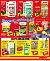 Balkonpflanzen im Repo Prospekt in Stralsund Aktueller Repo Prospekt mit Balkonpflanzen, "Aktuelle Angebote", Seite 3