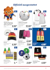 Ähnliche Angebote wie Holzspielzeug im Prospekt "Sommer, Sonne, Fußballfieber" auf Seite 11 von Lidl in Schorndorf