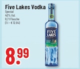 Aktuelles Vodka Angebot bei Trinkgut in Salzgitter ab 8,99 €