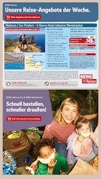 Katzenfutter Angebot im aktuellen REWE Prospekt auf Seite 26