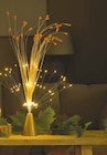 LED-Starburst Gras von Nord für 6,99 € bei Netto mit dem Scottie im Angebot LED-Starburst Gras von Nord im aktuellen Netto mit dem Scottie Prospekt
