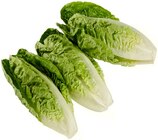 Romana Salatherzen im Angebot bei REWE in Pforzheim Romana Salatherzen Angebote von REWE Beste Wahl bei REWE Pforzheim für 1,29 €