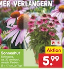 Sonnenhut Angebote bei Netto Marken-Discount Pforzheim für 5,99 €