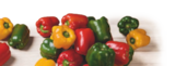 Paprika Mix im tegut Prospekt Paprika Mix von im aktuellen tegut Prospekt für 1,49 €