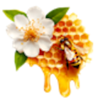 Blütenhonig cremig bei Kaufland im Lohmar Prospekt für 2,22 €