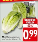 EDEKA Dirmstein Prospekt mit  im Angebot für 0,99 €