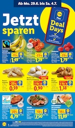 Grill Angebot im aktuellen Lidl Prospekt auf Seite 2