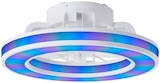 Aktuelles Led Deckenventilator „modello“ Angebot bei OBI in Erfurt ab 79,99 €