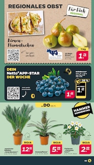 Heidelbeeren Angebot im aktuellen Netto mit dem Scottie Prospekt auf Seite 3