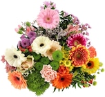 Aktuelle Blumen Angebote bei REWE in Berlin Aktuelles Blumenstrauß Coffeetime Angebot bei REWE in Berlin ab 8,50 €