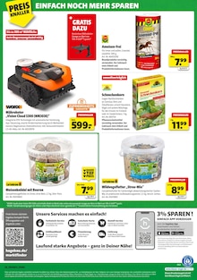 Rasenmäher im hagebau kompakt Prospekt "SUPER DEALS" mit 8 Seiten (Frankfurt (Main))