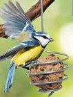 Aktuelle Vogelkäfig Angebote bei OBI in Fürth Aktuelles Meisenknödelhalter Angebot bei OBI in Fürth ab 4,99 €