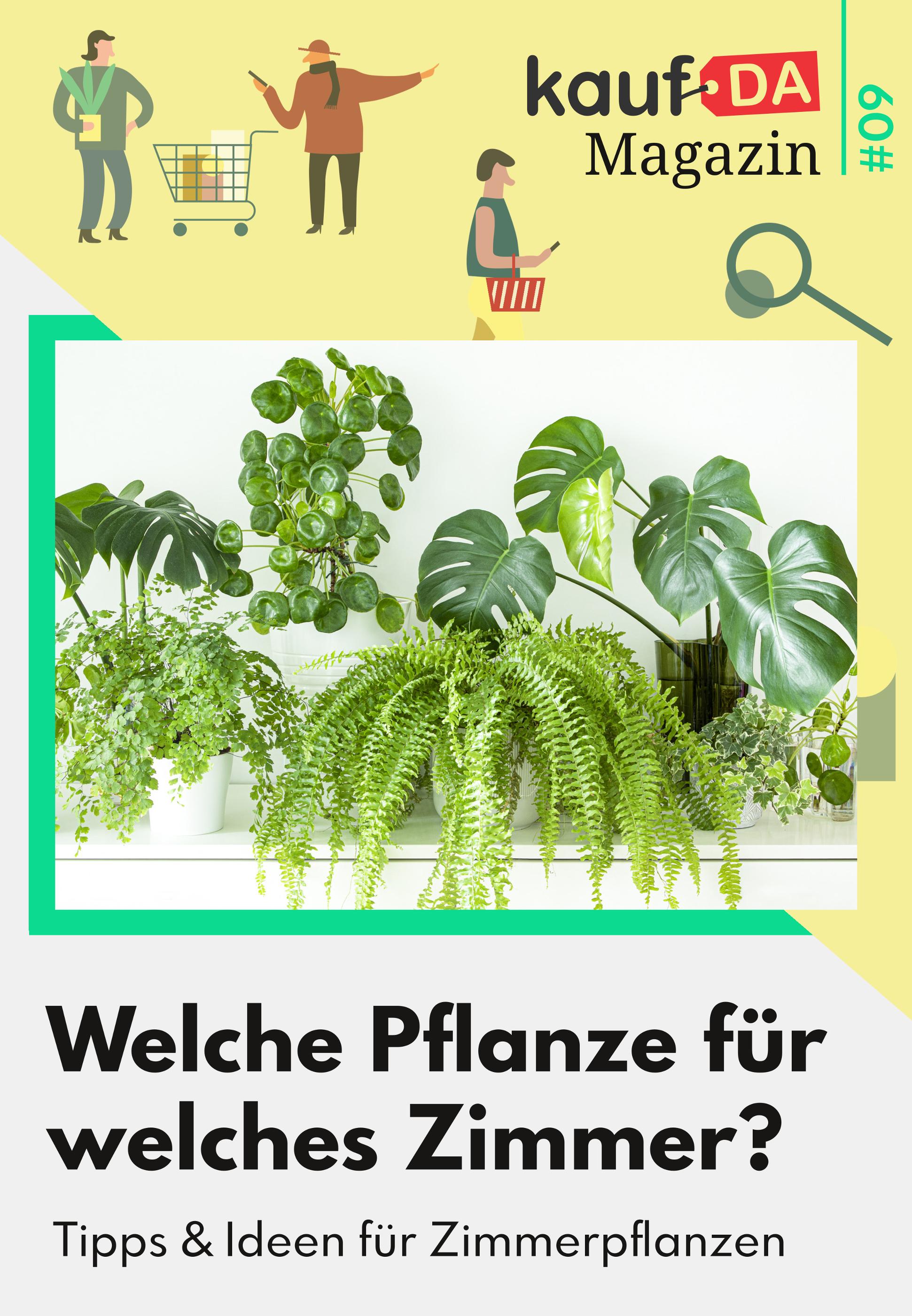 kaufDA Magazin Prospekt für Seewiesen mit 1 Seite kaufDA Magazin Prospekt für Seewiesen: "Welche Pflanze für welches Zimmer?", 1 Seite, 01.09.2021 - 31.10.2021