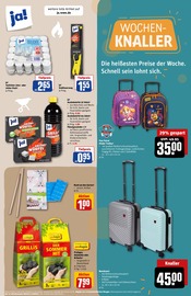 Ähnliche Angebote wie Gürtel im Prospekt "Dein Markt" auf Seite 35 von REWE in München