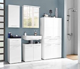 Aktuelle Badmöbel Angebote bei Zurbrüggen in Bielefeld Aktuelles Wandschrank Angebot bei Zurbrüggen in Bielefeld ab 119,99 €