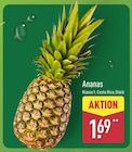 ALDI Nord Eberswalde Prospekt mit  im Angebot für 1,69 €