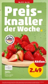 Erdbeeren im Penny Prospekt in Stralsund Aktueller Penny Prospekt mit Erdbeeren, "Wer günstig will, muss Penny.", Seite 6