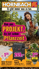 Aktueller Hornbach Baumärkte Prospekt in Erbach und Umgebung, "Ran ans PROJEKT. Es ist schon Pflanzzeit." mit 36 Seiten, 11.03.2026 - 08.04.2026