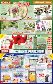 Aktueller Norma Prospekt mit Gartendeko, "Mehr fürs Geld", Seite 14