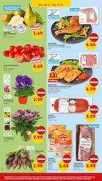 Penny Tomaten im Prospekt 