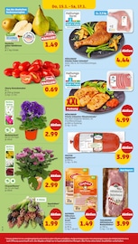 Tomaten im Penny Prospekt in Ingolstadt Aktueller Penny Prospekt mit Tomaten, "Wer günstig will, muss Penny.", Seite 32